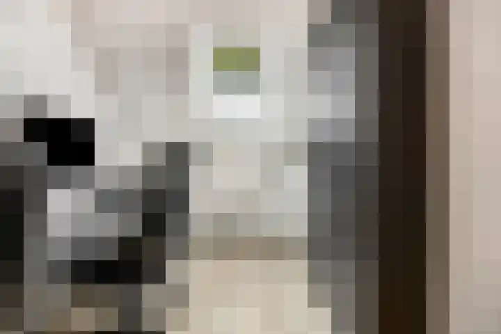 Zandscheer 6 Lunteren thumbnail 30