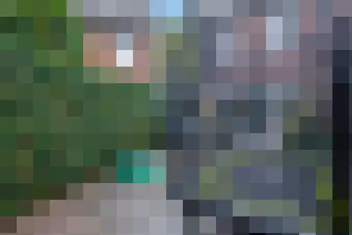 Zandscheer 6 Lunteren thumbnail 35
