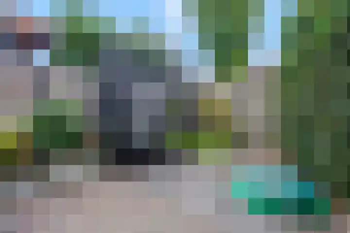 Zandscheer 6 Lunteren thumbnail 36