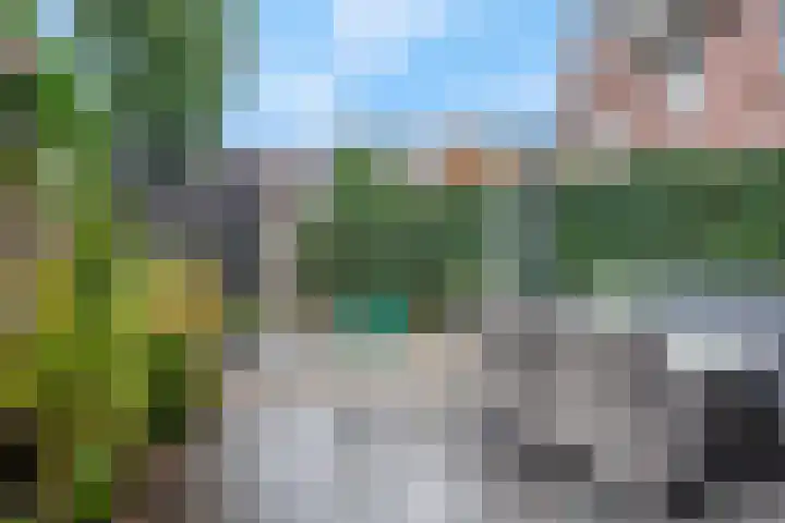 Zandscheer 6 Lunteren thumbnail 37