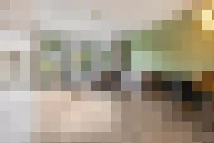 Zandscheer 6 Lunteren thumbnail 4