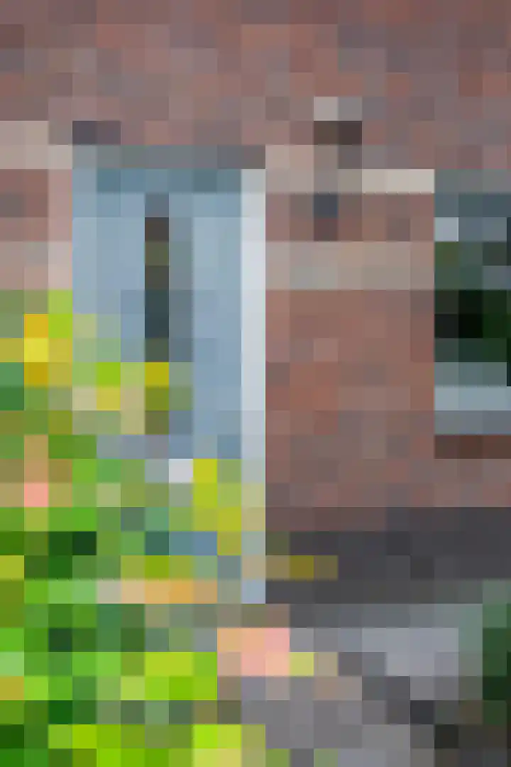 Zandscheer 6 Lunteren thumbnail 42