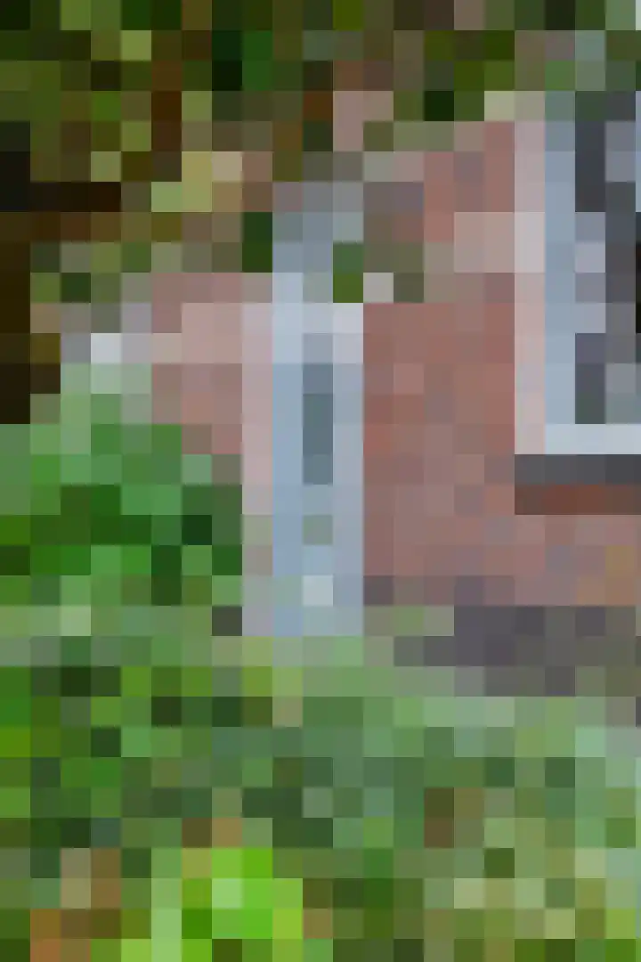Zandscheer 6 Lunteren thumbnail 43