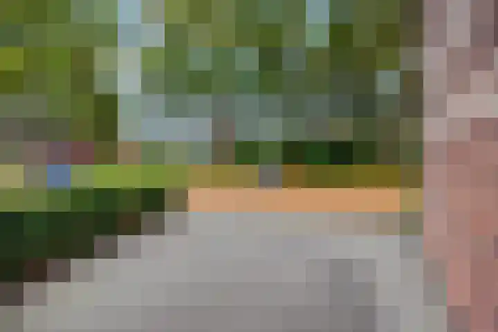 Zandscheer 6 Lunteren thumbnail 45