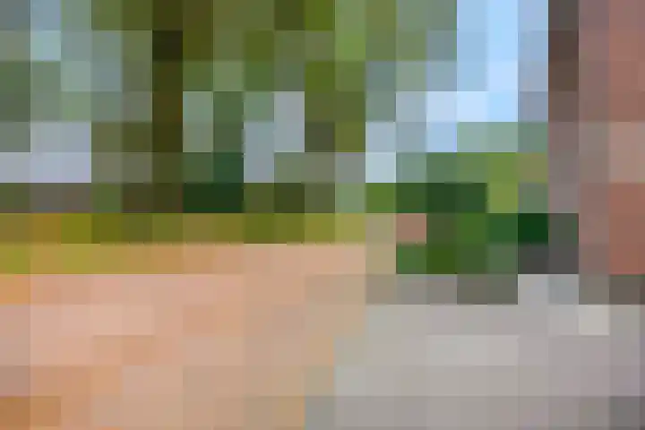 Zandscheer 6 Lunteren thumbnail 46