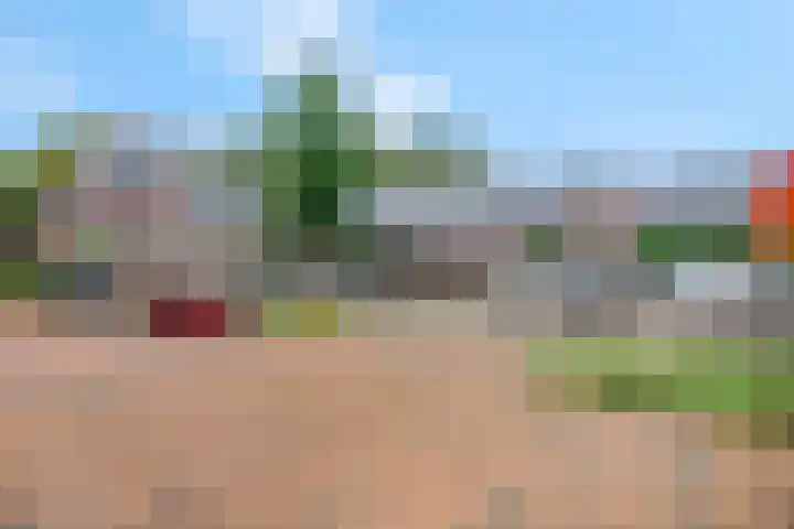 Zandscheer 6 Lunteren thumbnail 49