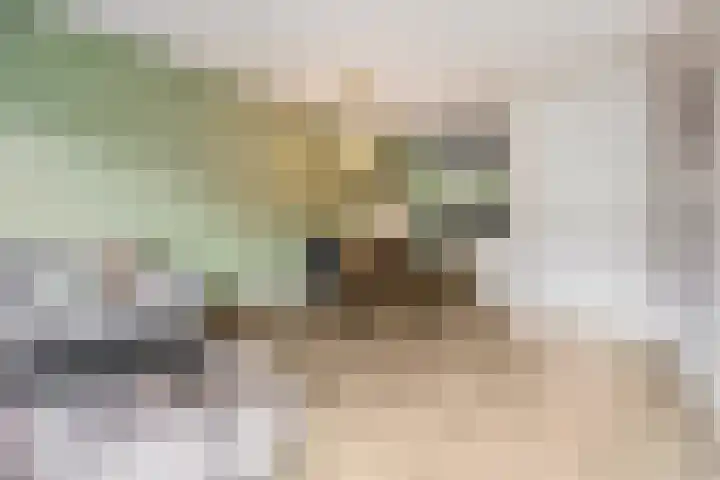 Zandscheer 6 Lunteren thumbnail 5