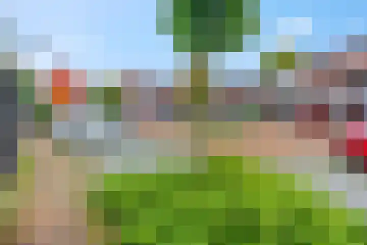 Zandscheer 6 Lunteren thumbnail 51