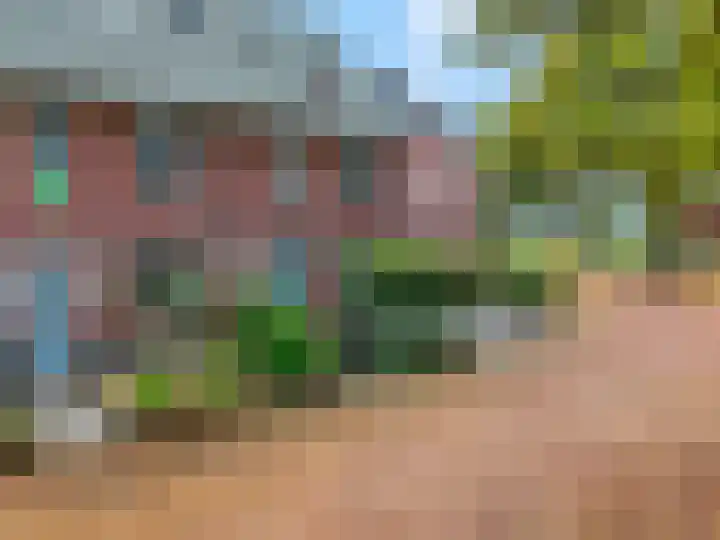 Zandscheer 6 Lunteren thumbnail 52