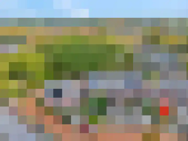 Zandscheer 6 Lunteren thumbnail 53