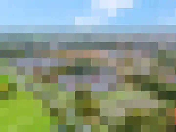 Zandscheer 6 Lunteren thumbnail 54