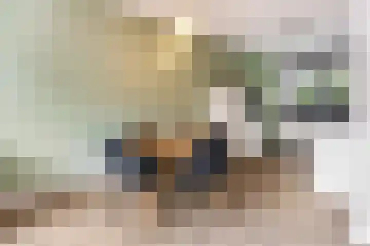 Zandscheer 6 Lunteren thumbnail 6