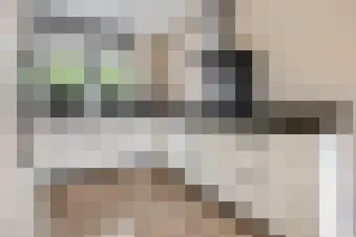 Zandscheer 6 Lunteren thumbnail 7