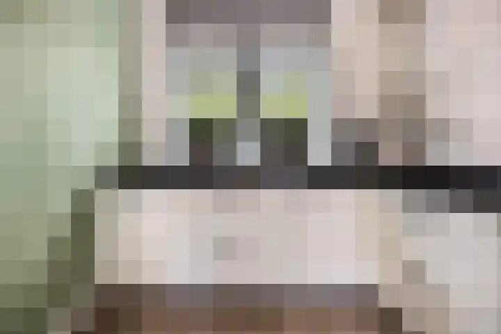 Zandscheer 6 Lunteren thumbnail 8