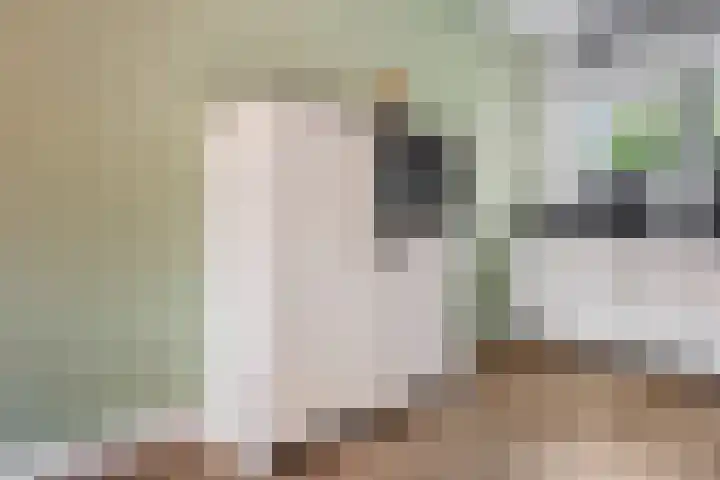 Zandscheer 6 Lunteren thumbnail 9
