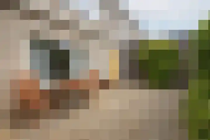 Zandschel 10 Etten-Leur thumbnail 29