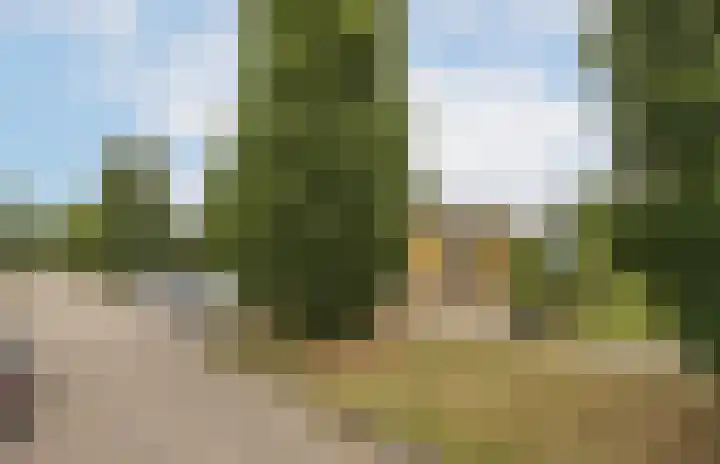 Zandschel 10 Etten-Leur thumbnail 35