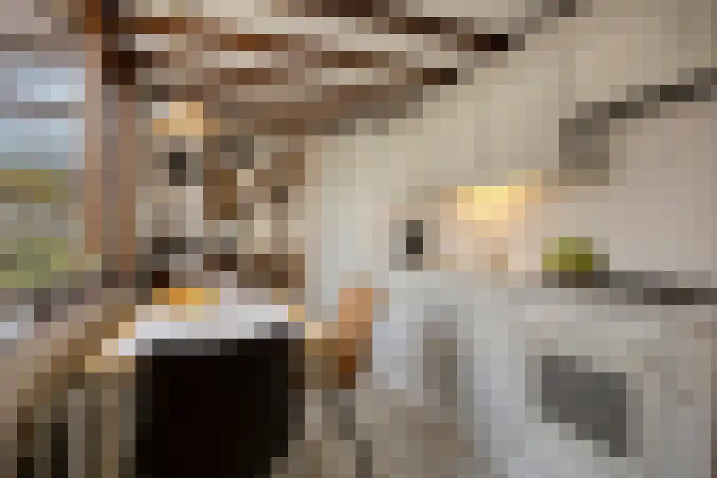 Zandschelstraat 28 Goirle thumbnail 16