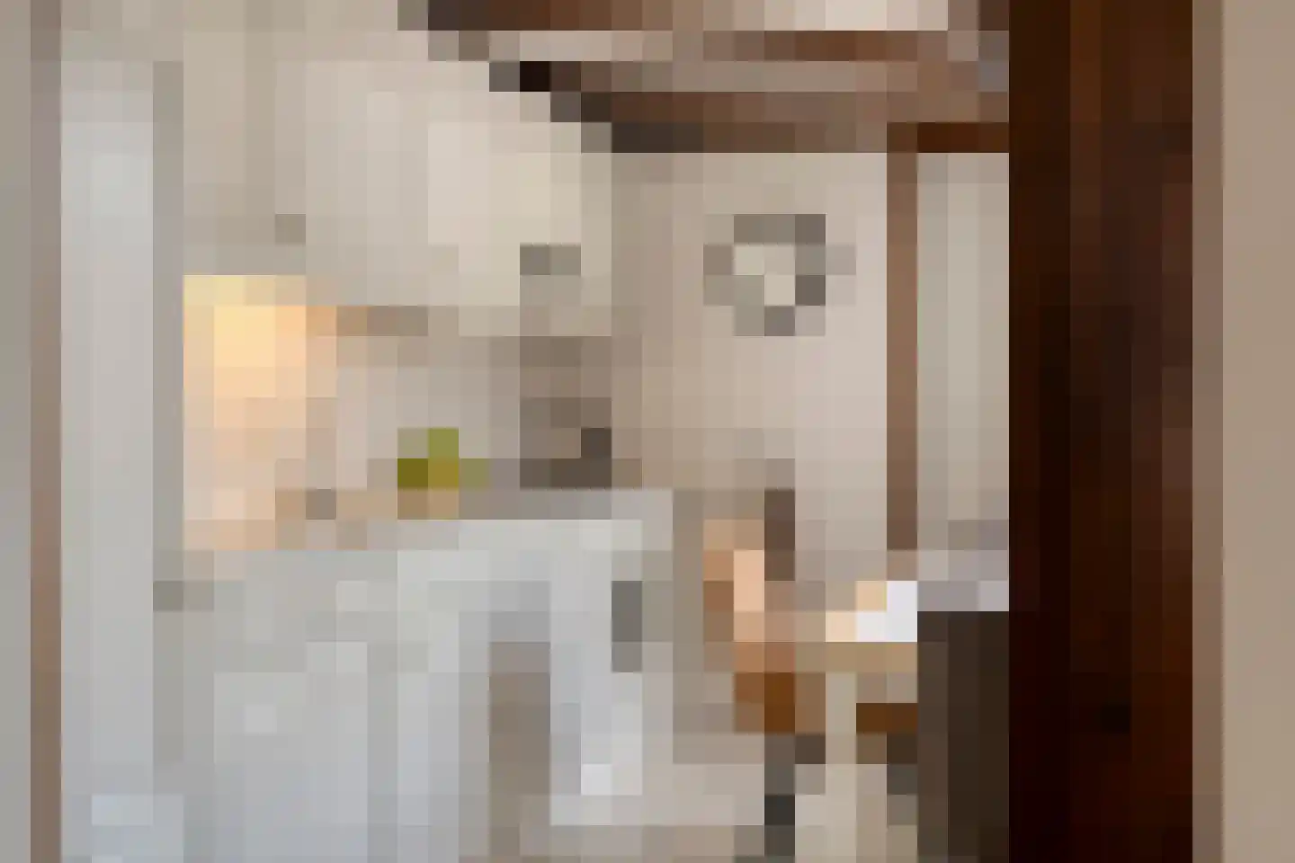 Zandschelstraat 28 Goirle thumbnail 17