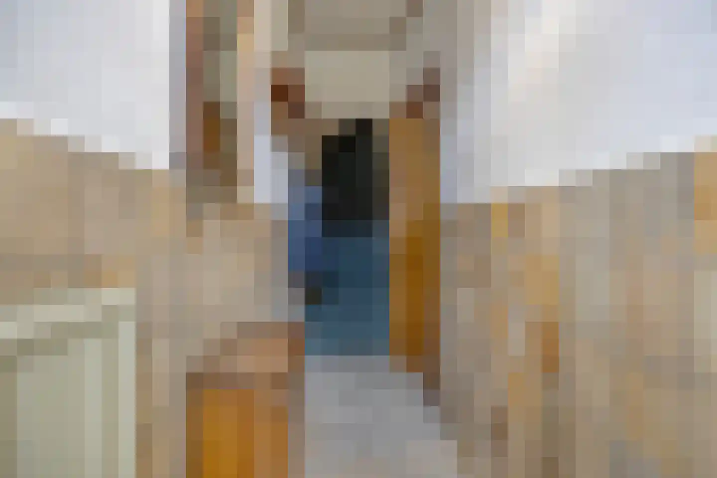 Zandschelstraat 28 Goirle thumbnail 24