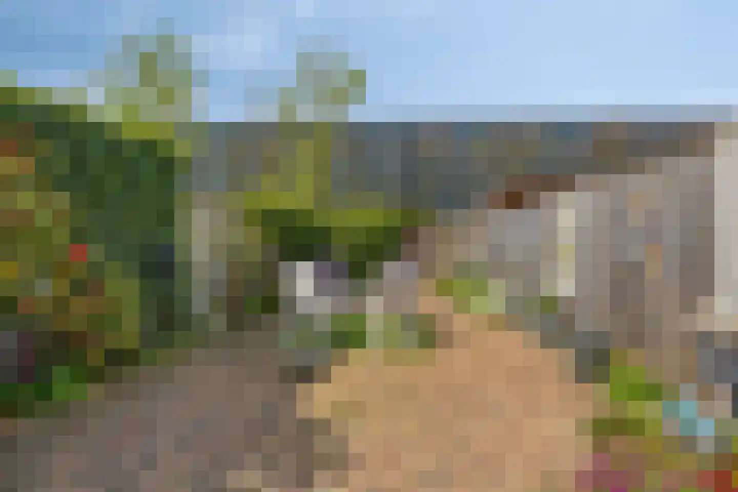 Zandschelstraat 28 Goirle thumbnail 36