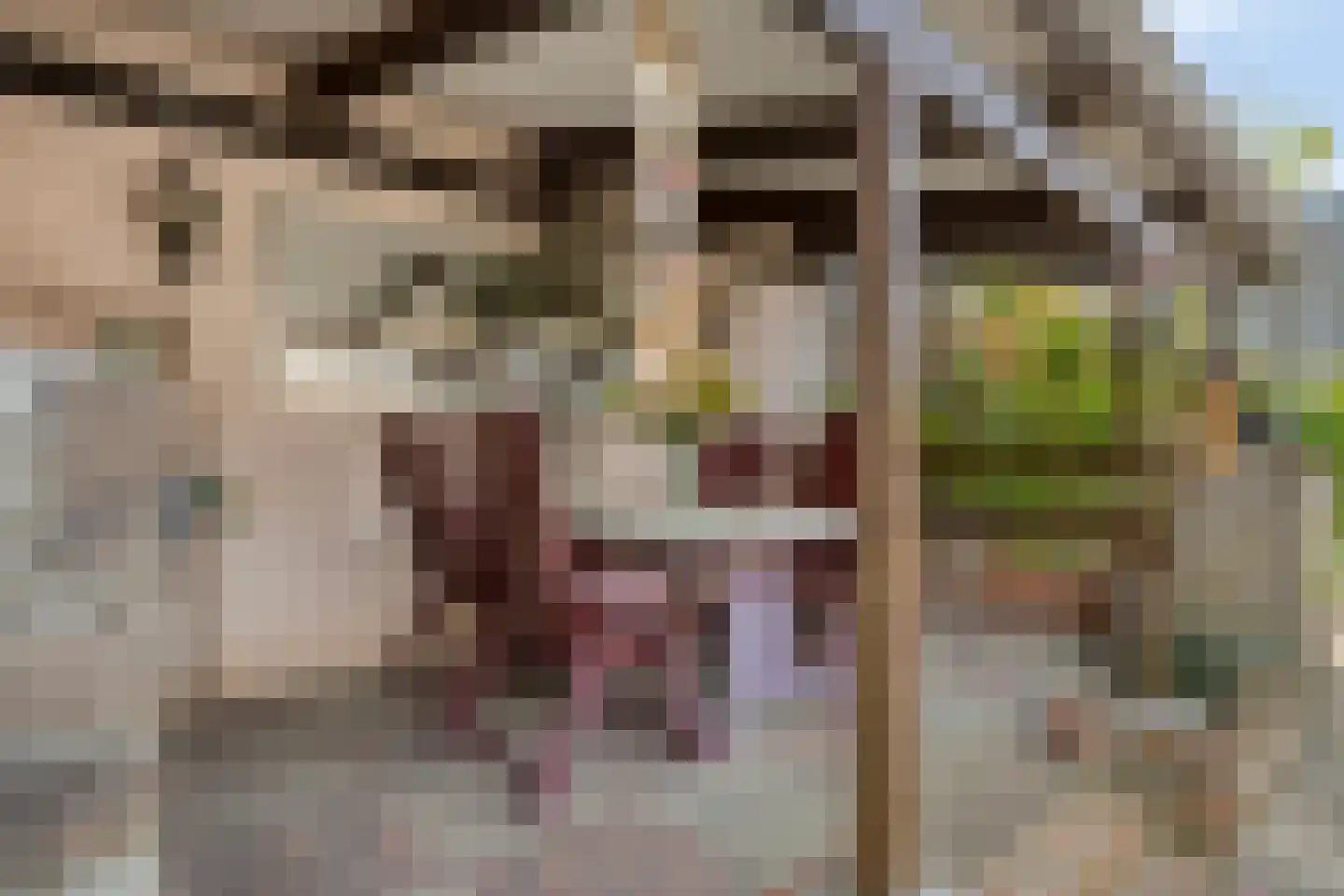 Zandschelstraat 28 Goirle thumbnail 39