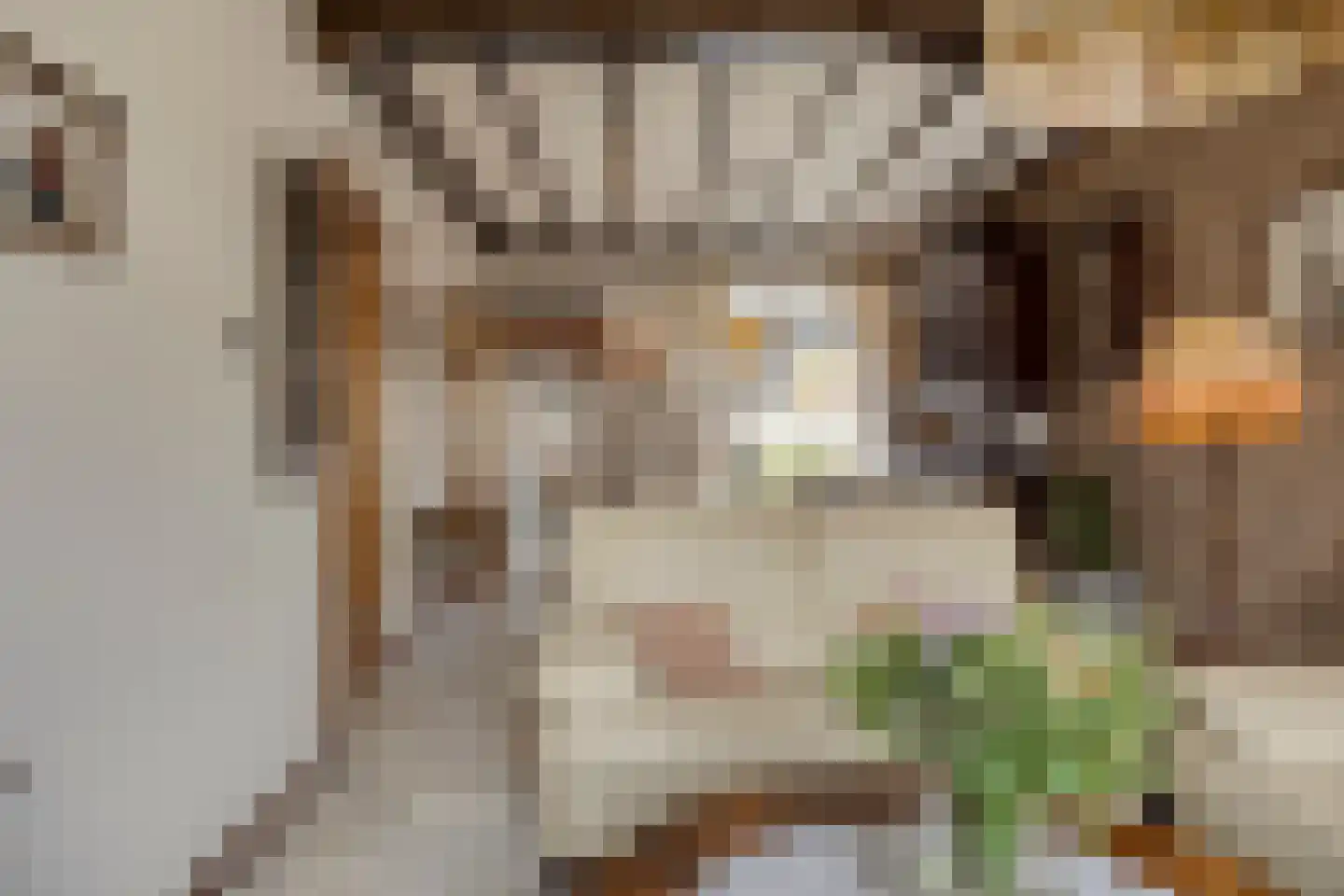 Zandschelstraat 28 Goirle thumbnail 4