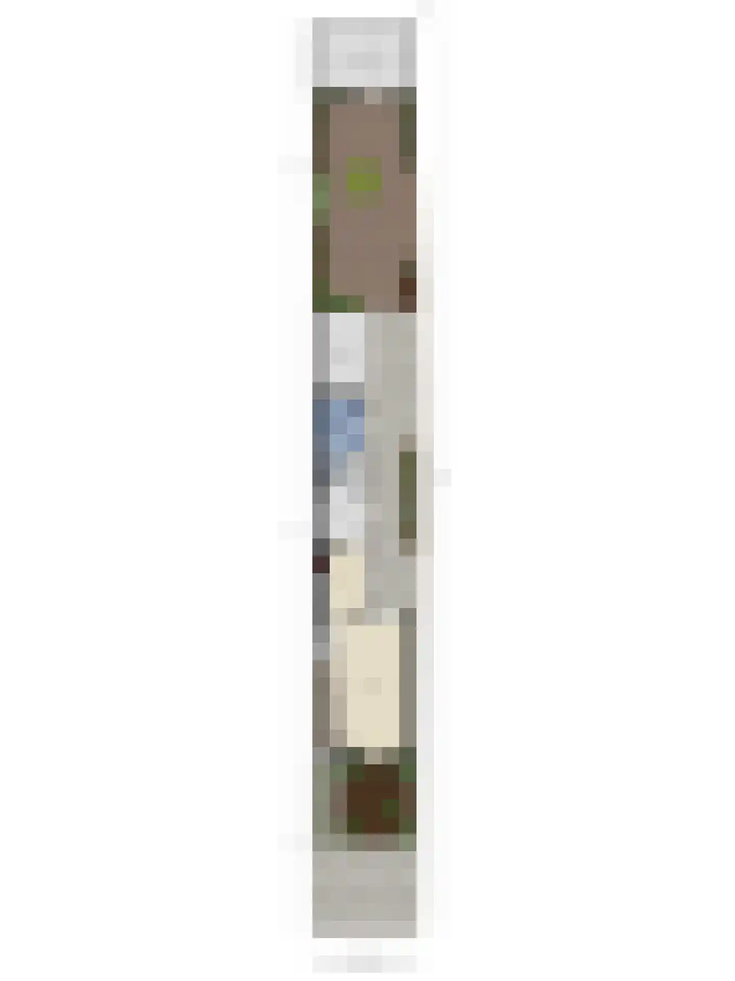 Zandschelstraat 28 Goirle thumbnail 50