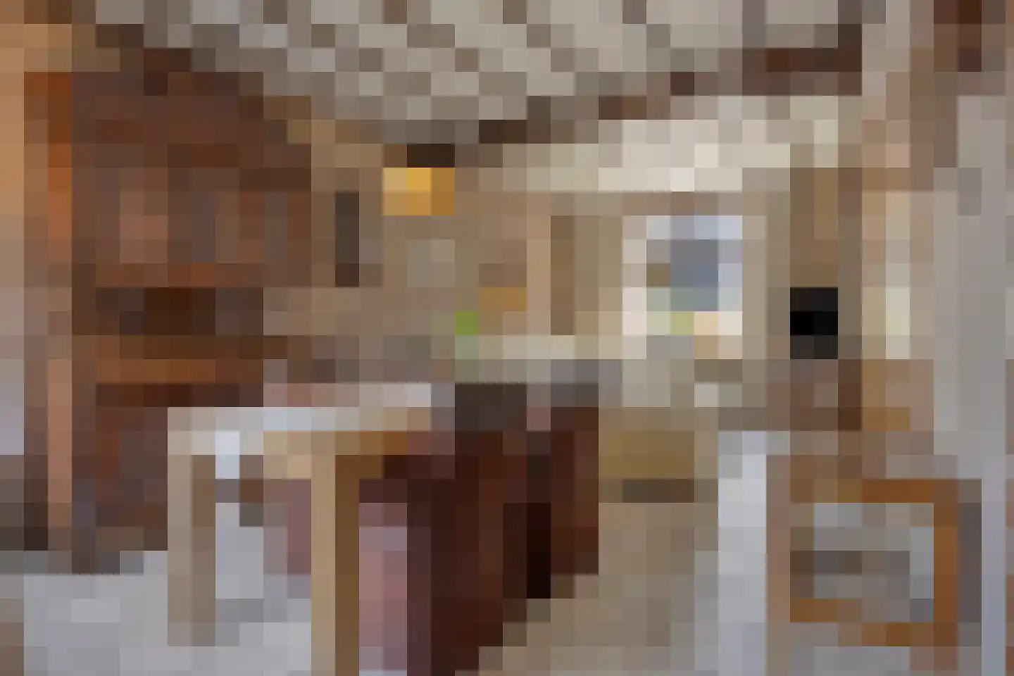 Zandschelstraat 28 Goirle thumbnail 6