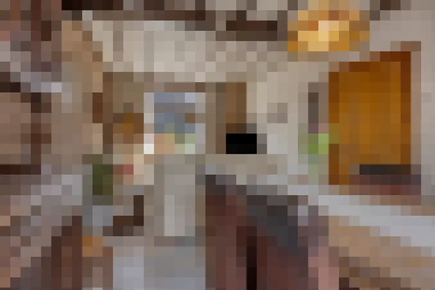 Zandschelstraat 28 Goirle thumbnail 7