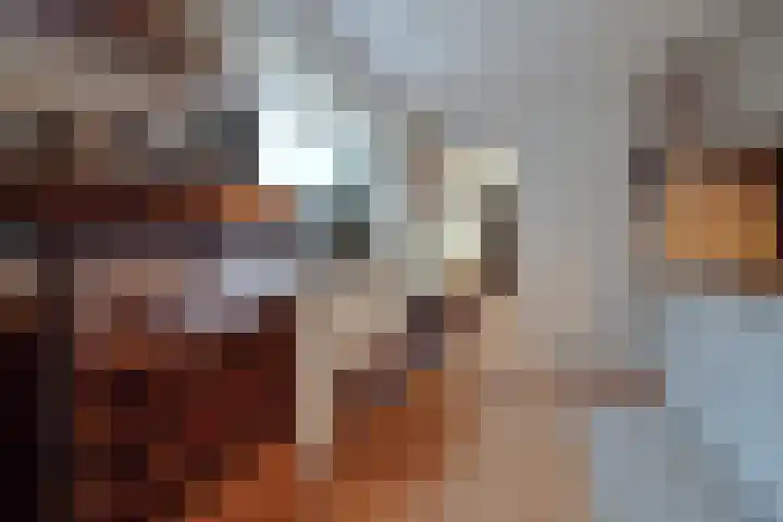 Zandschelstraat 30 Goirle thumbnail 10