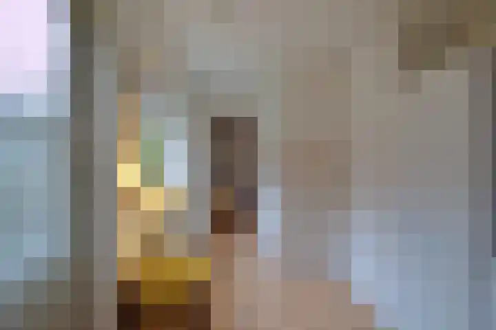 Zandschelstraat 30 Goirle thumbnail 13