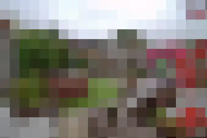 Zandschelstraat 30 Goirle thumbnail 30