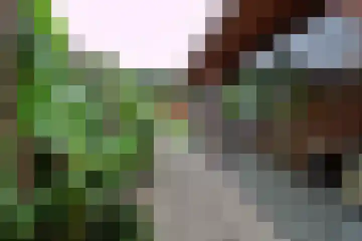 Zandschelstraat 30 Goirle thumbnail 33