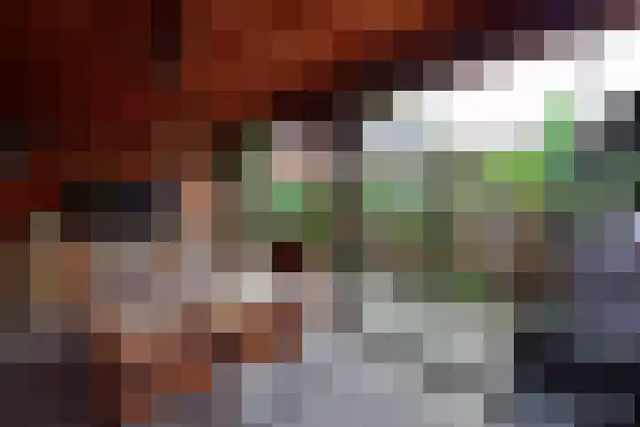Zandschelstraat 30 Goirle thumbnail 34