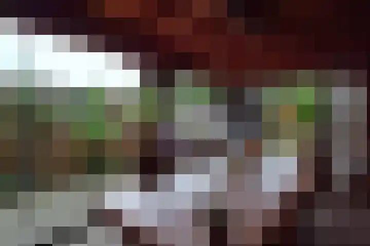Zandschelstraat 30 Goirle thumbnail 35