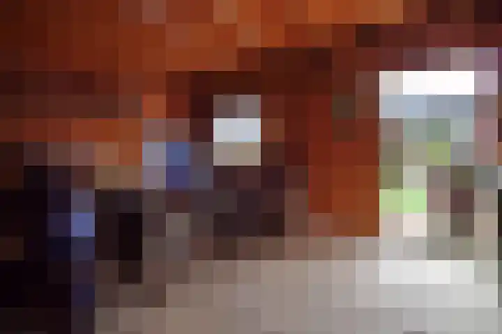 Zandschelstraat 30 Goirle thumbnail 38