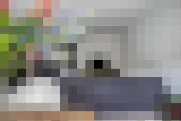 Zandschuit 33 Eindhoven thumbnail 15