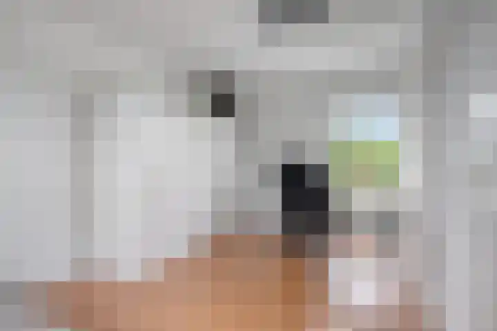 Zandschuit 33 Eindhoven thumbnail 31