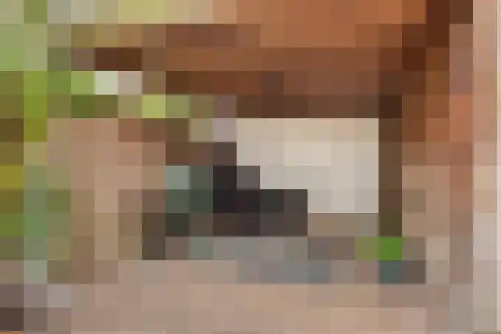 Zandschuit 33 Eindhoven thumbnail 37