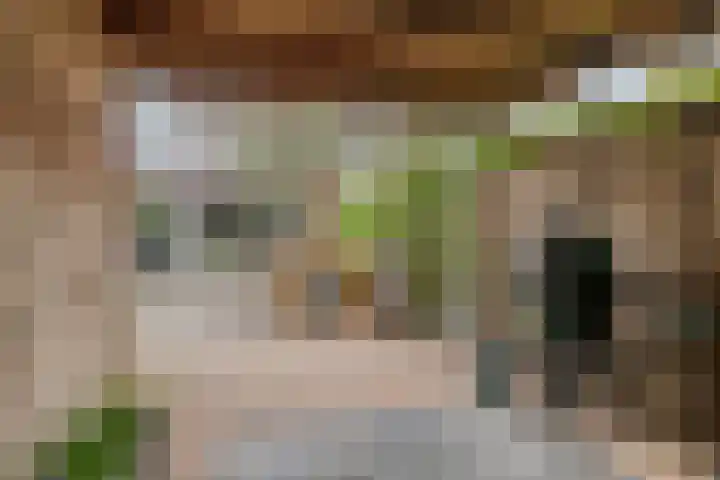 Zandschuit 33 Eindhoven thumbnail 38