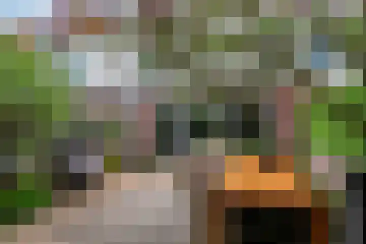 Zandschuit 33 Eindhoven thumbnail 39