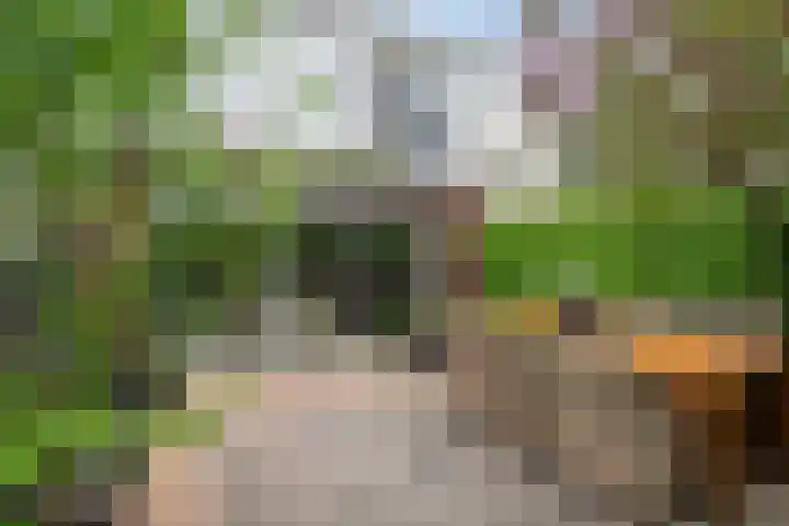 Zandschuit 33 Eindhoven thumbnail 40