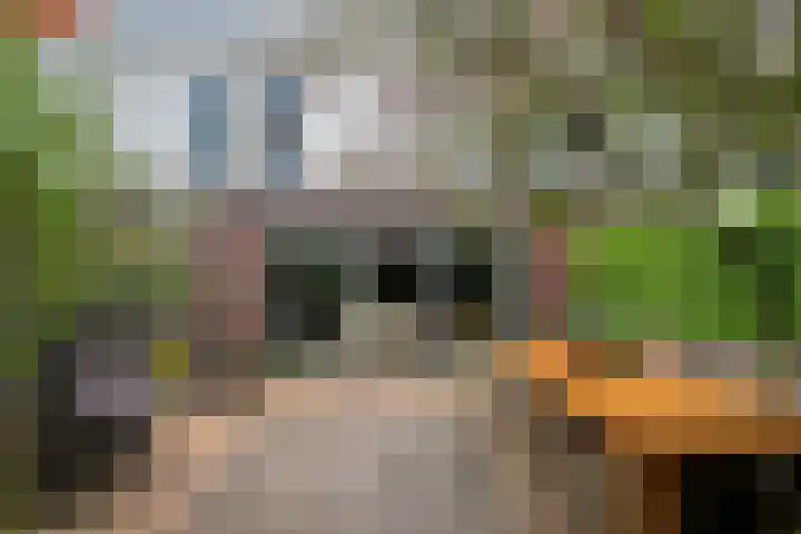Zandschuit 33 Eindhoven thumbnail 41