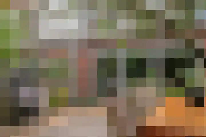 Zandschuit 33 Eindhoven thumbnail 42