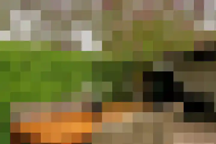 Zandschuit 33 Eindhoven thumbnail 43