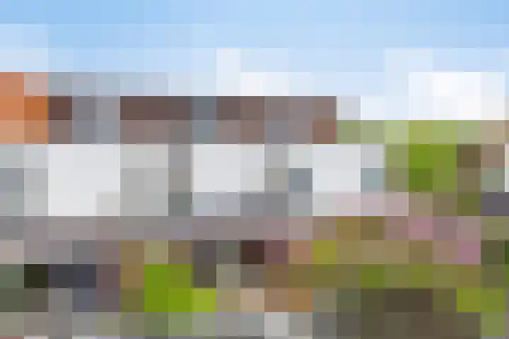 Zandschuit 33 Eindhoven thumbnail 45