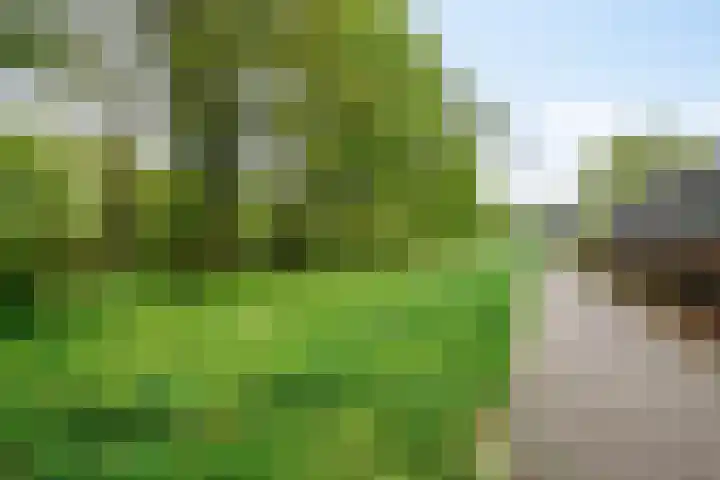 Zandschuit 33 Eindhoven thumbnail 48