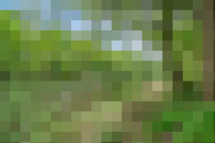 Zandschuit 33 Eindhoven thumbnail 51