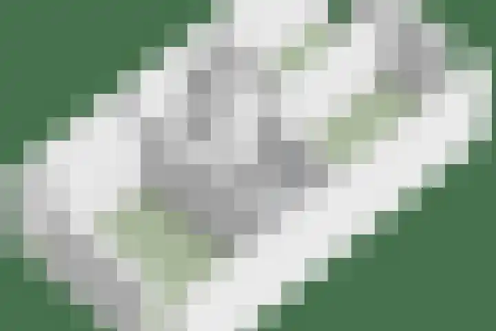 Zandschuit 33 Eindhoven thumbnail 57